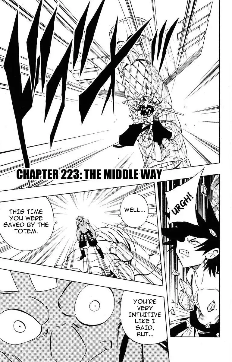 Shaman King Chapter 223 1